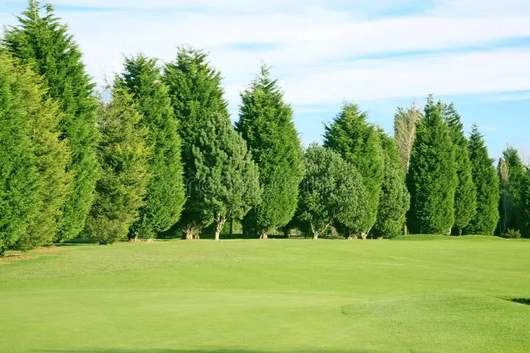 golf-course-37834964.jpg golf-course-37834964.jpg