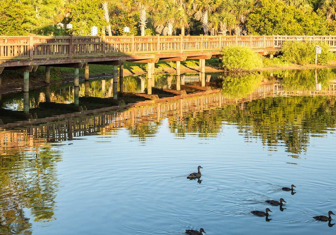 Bird_Island-3-high-res-to-replace-Bird-Ialnd-Park-Pond-Ponte-Vedra-Beach