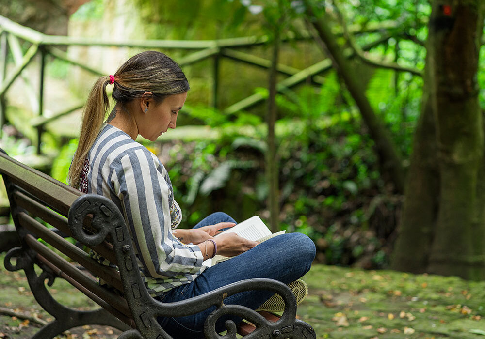 Contemplate-landing-bird-island-1350831546