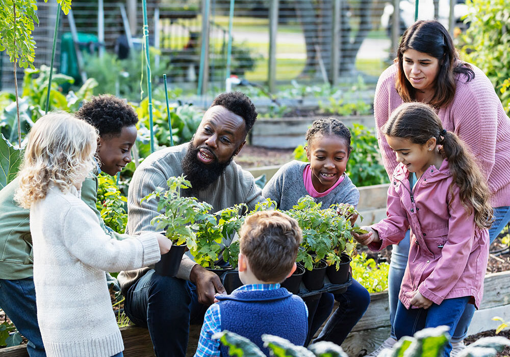 Evaluate-Autism-1364679535