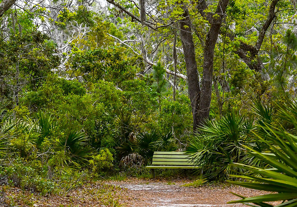 contemplate-solitude-gtm2