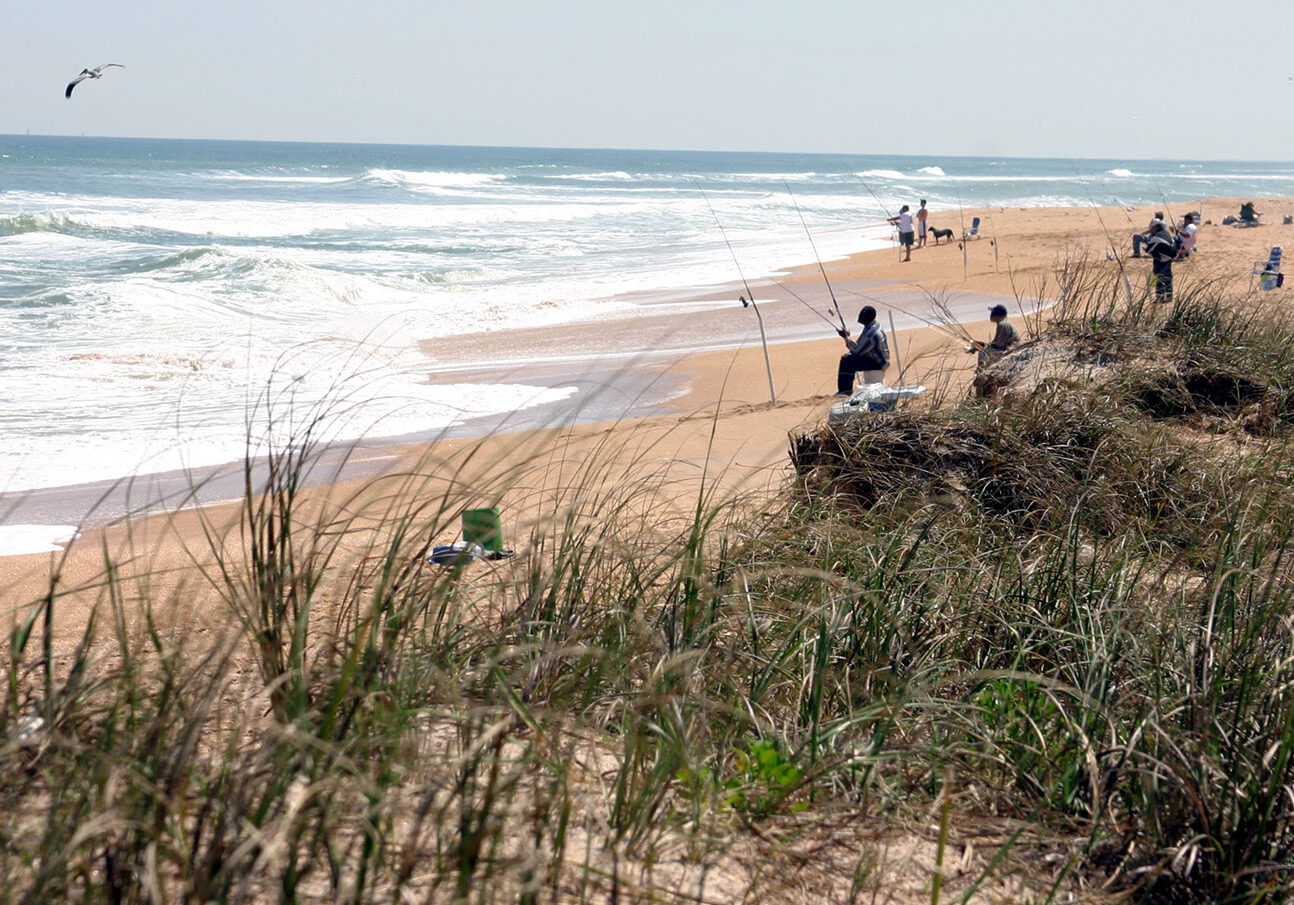 surf-fishing-184102417